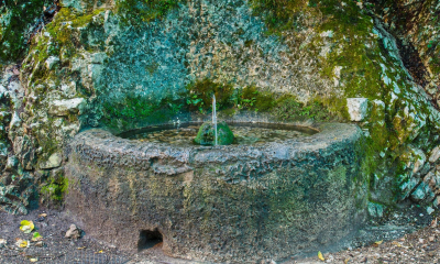 DSC07767