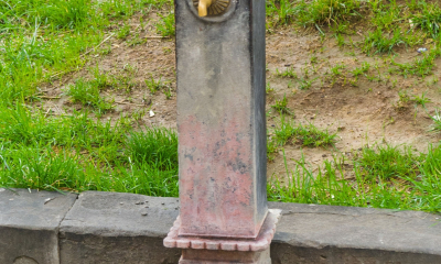 DSC08833
