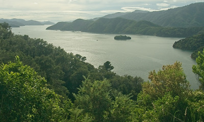 DSC00459