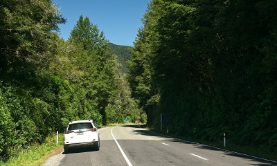 DSC00503