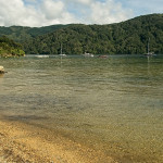 DSC00465