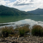 DSC00469