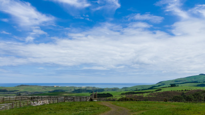 DSC03881