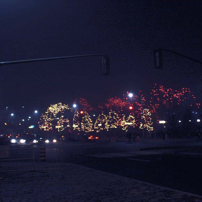 Christmas Lights, Ottawa