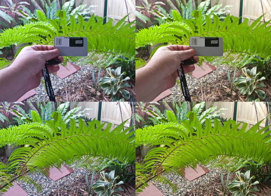 White Balance and Color Correction