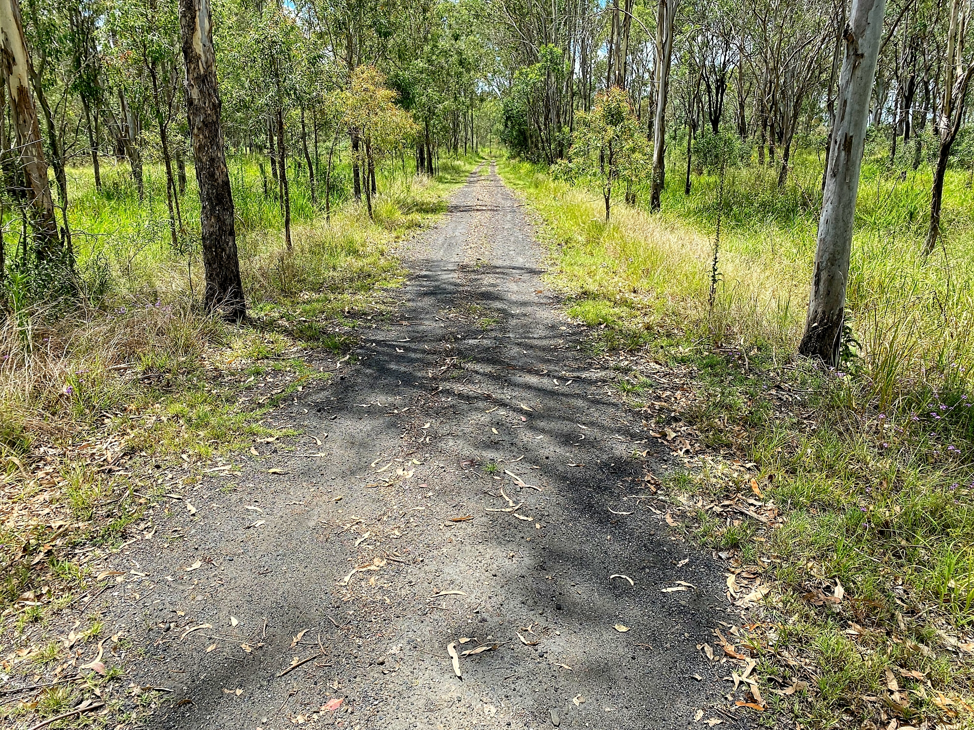 BVRT Yarraman to Linville
