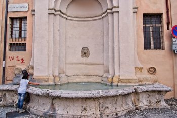 DSC07344