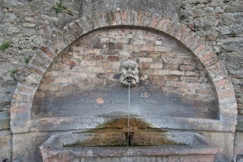 DSC07358
