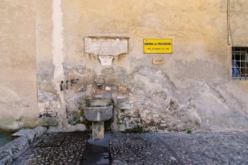 DSC07487