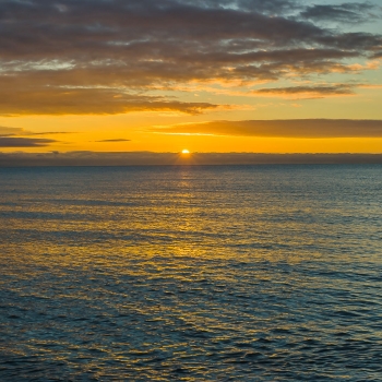 DSC09753 DSC09753