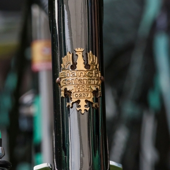 DSC07100.jpg