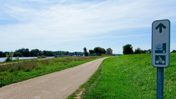 DSC08846