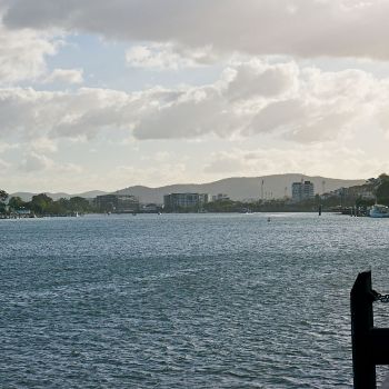 DSC00556