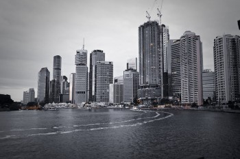 DSC0556