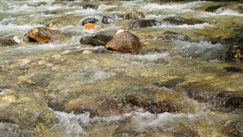 PICT0233