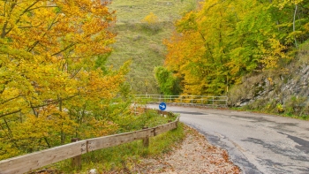 DSC09016