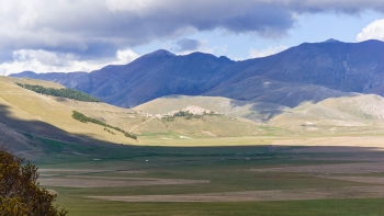 DSC09036