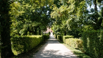 DSC08860