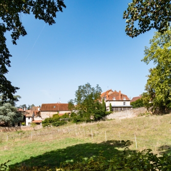 DSC08861