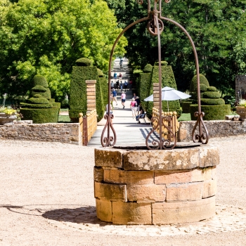 DSC08887
