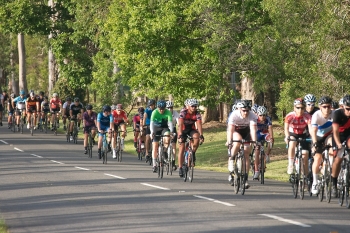 DSC00104