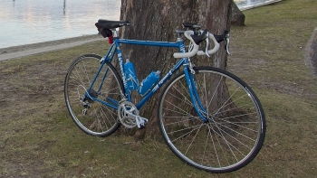 DSC07086v1