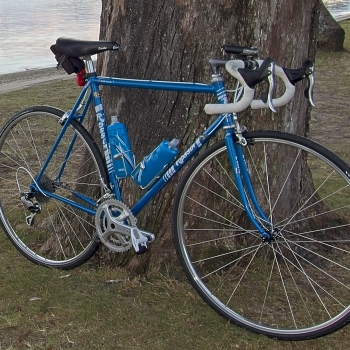 DSC07086v1