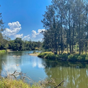 IMG_3116
