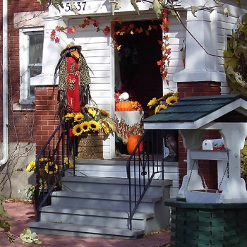 6751525_halloween