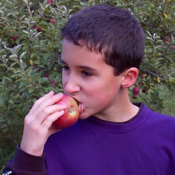 apple2
