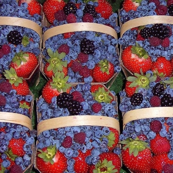berries800x600