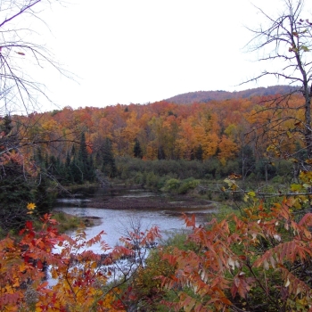 fall01gatineau01