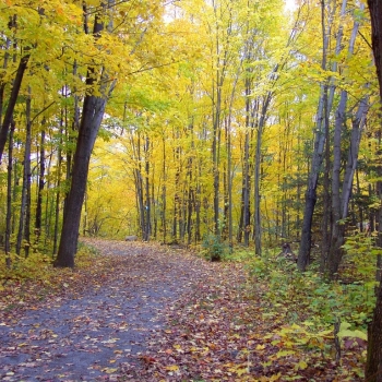 fall01montreal