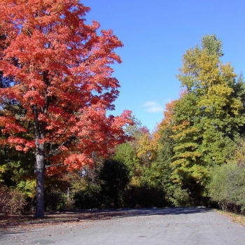 fall02_2