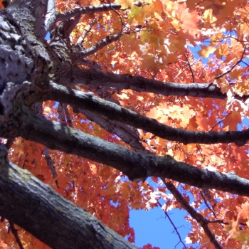 fall04