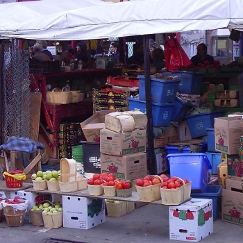 market800x600
