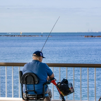 Festival of Sails - Bluewater Festival