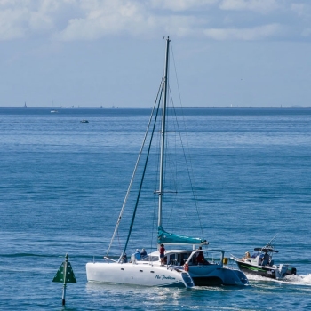 Festival of Sails - Bluewater Festival
