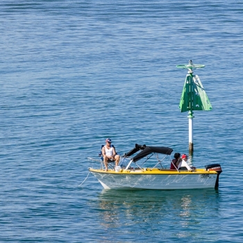 Festival of Sails - Bluewater Festival