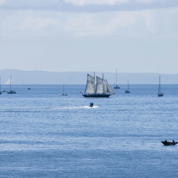 Festival of Sails - Bluewater Festival