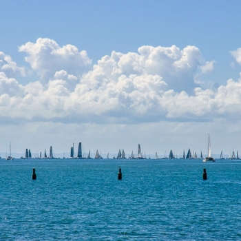 Festival of Sails - Bluewater Festival