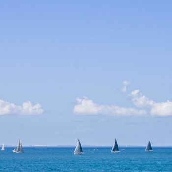 Festival of Sails - Bluewater Festival