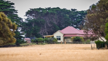DSC03499