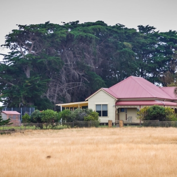 DSC03499