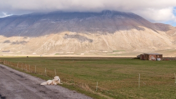 The road to Castellucio