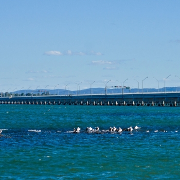 DSC01539 DSC01539