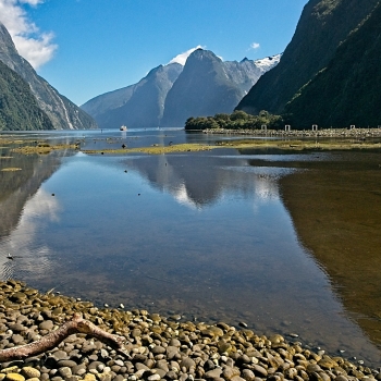 Milford Sound, NZ
