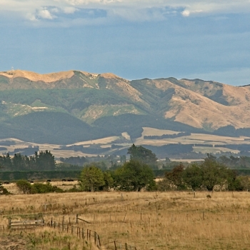 DSC00003