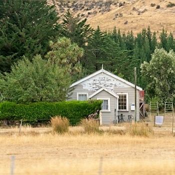 DSC00113