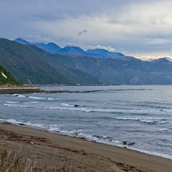 DSC00178